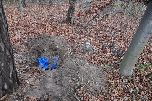 Sprawa znalezienia około 10 szkieletów ludzkich w lesie koło Siennicy Małej wstrząsnęła okolicą. Mieszkańcy bali się, że szczątki ludzkie mogli zakopać członkowie mafii.