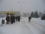 Tomaszów Mazowiecki i okolice 15 lat temu. Ludzie, wydarzenia i miejsca w latach 2005-2010 [ZDJĘCIA]