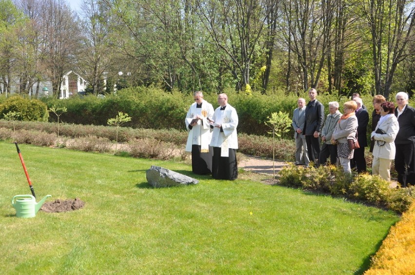 Kartuzy - sadzenie dębu na pamiątkę kanonizacji w parku Jana...