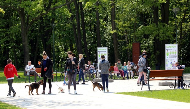 Park Zielona w Dąbrowie Górniczej