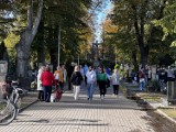 Tłumy odwiedzają cmentarz przy ul. Legnickiej w Głogowie. Nekropolia ma ponad 100 lat.  ZDJĘCIA