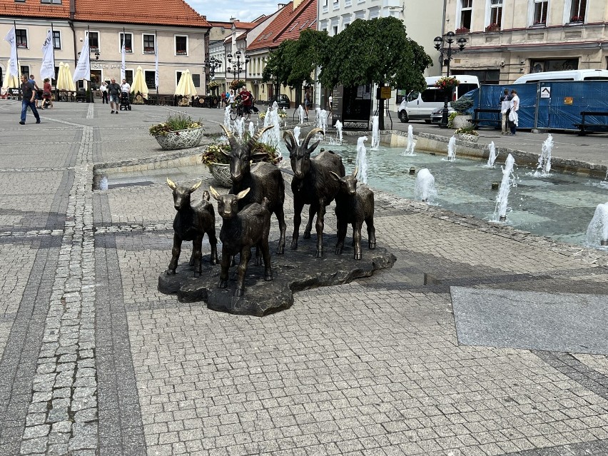 Na rynku w Mikołowie stanął pomnik... kóz. Mamy ZDJĘCIA