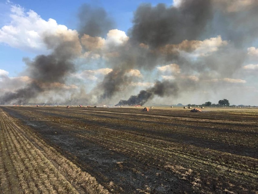 Gigantyczny pożar! Spłonęło około 80 hektarów zboża