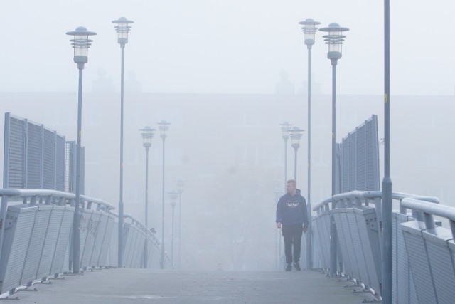 Mgła w Poznaniu

Zobacz też: Mglisty poranek w Poznaniu. Zobacz niezwykłe nagranie!

Przejdź do kolejnego zdjęcia --->