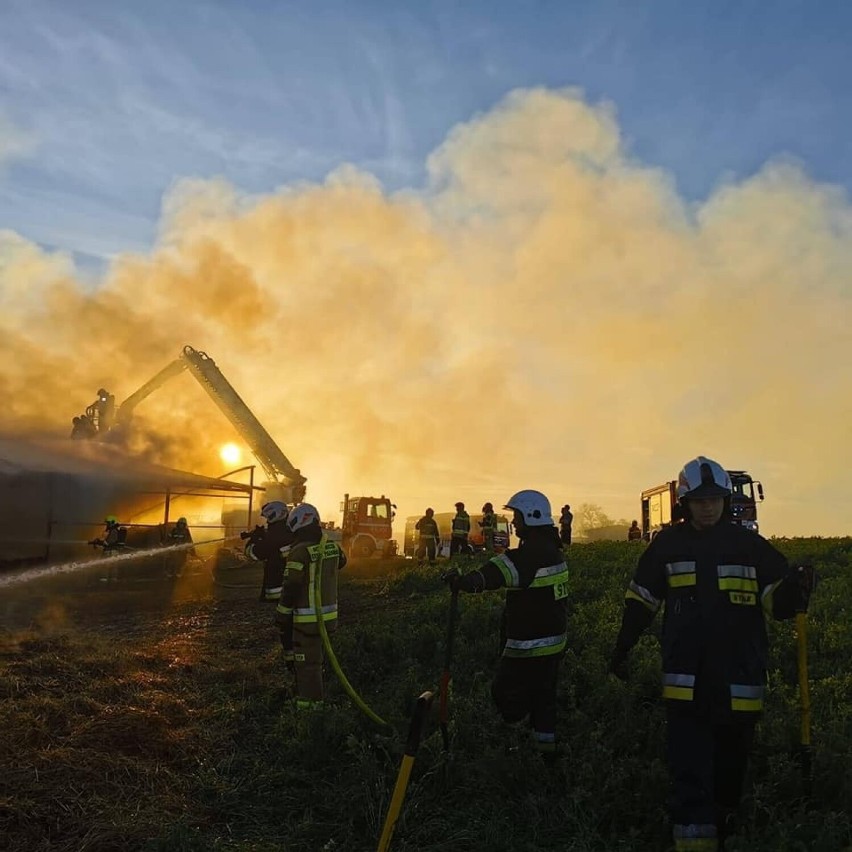 Duże straty po pożarze w Okoninie pod Grudziądzem. Szczęście, że uratowano zwierzęta. Zobacz zdjęcia  