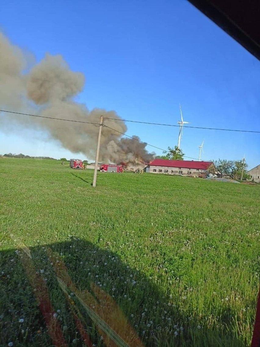 Duże straty po pożarze w Okoninie pod Grudziądzem. Szczęście, że uratowano zwierzęta. Zobacz zdjęcia  