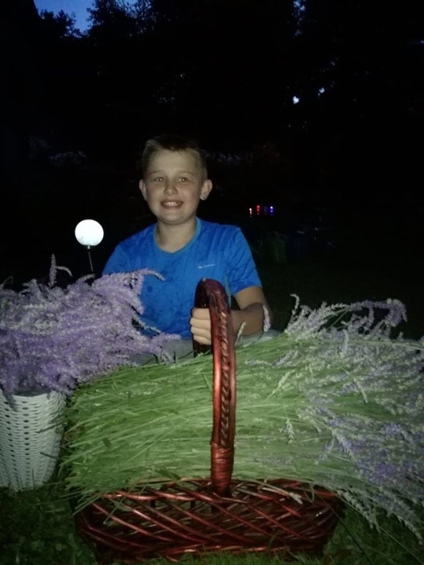 Niezwykły 11-letni Marek zaprasza na Plac Artystów w Kielcach. Mały ogrodnik będzie rozdawał swoje kwiaty