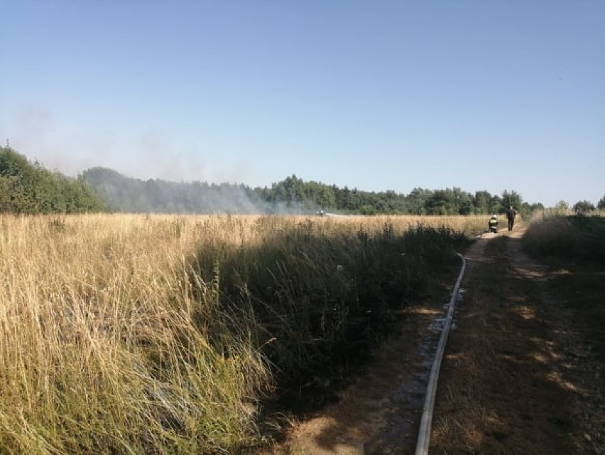 W Libiążu spaleniu uległo 45 arów traw i leśnego zagajnika...