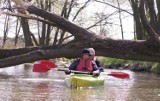 Zielony Pierścień promuje lokalną turystykę kajakową i rowerową