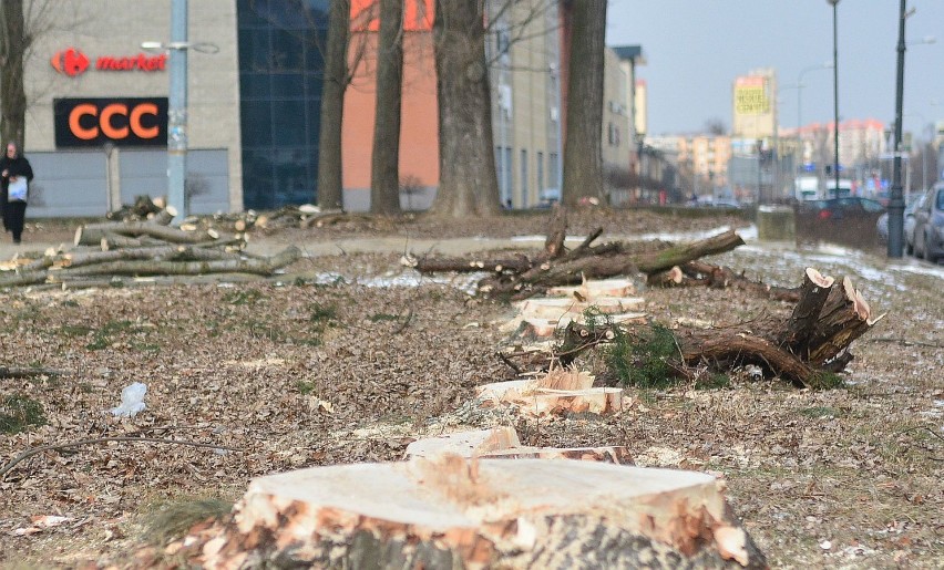 Przebudowa placu Jagiellońskiego w Radomiu. Zaczęła się już...