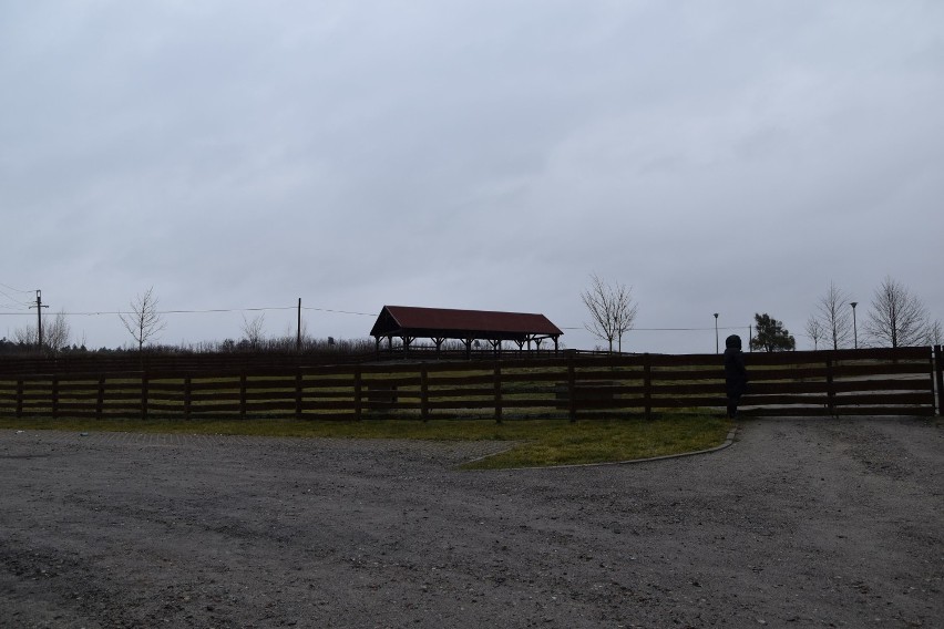 Nad jeziorem w Osieku wybudowane są nowe pomosty i...