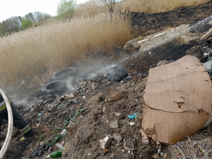 Strażacy gasili pożar trawy i śmieci w Borzykowej w gminie...