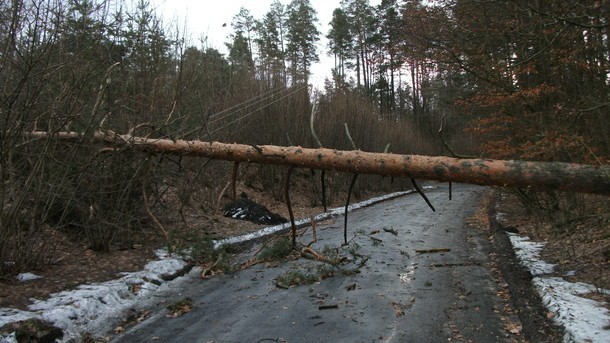 Prawie 70 razy interweniowali strażacy podczas wichury