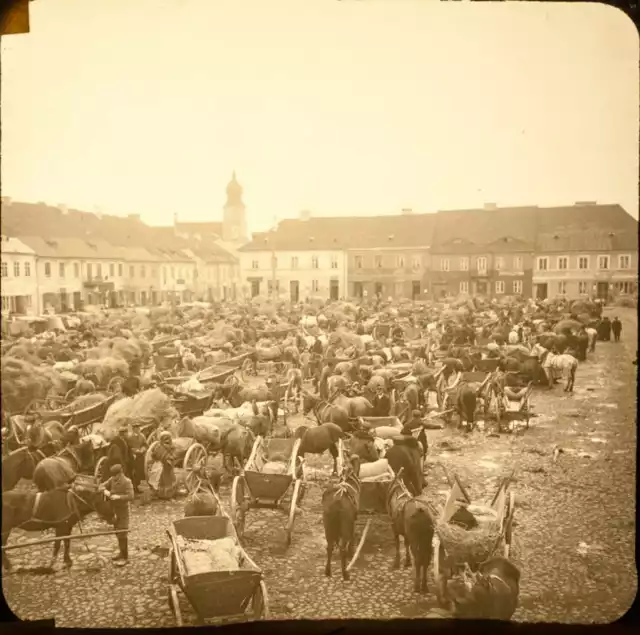 Fotografie autorstwa Stanisława Szalaya pochodzą z 1902 roku i pokazują świat, którego dawno już nie ma

Rynek w Sieradzu w czasie targu