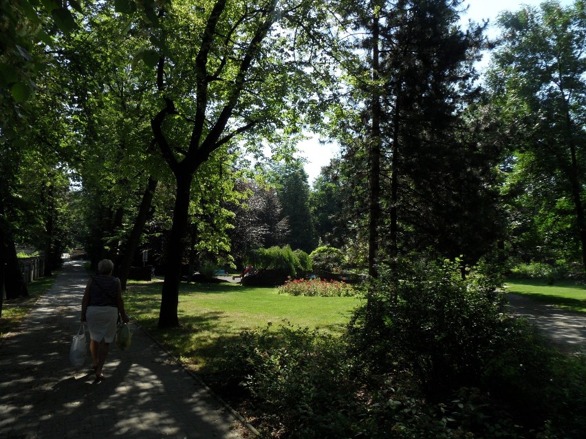 Parki i zieleńce w Rybniku