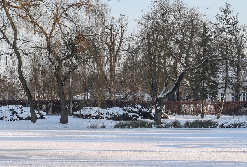 Park Oruński w zimowej odsłonie [ZDJĘCIA]