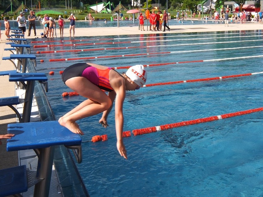 mistrzostwa bielska-białej w pływaniu