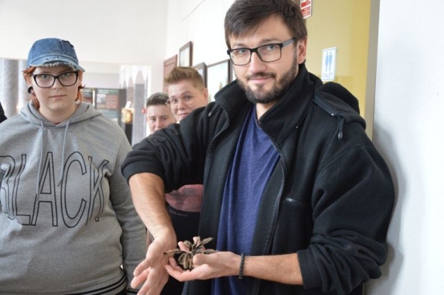 Na wystawie w Miejskim Centrum Kultury w Skarżysku można było zobaczyć kilkadziesiąt gatunków pająków.