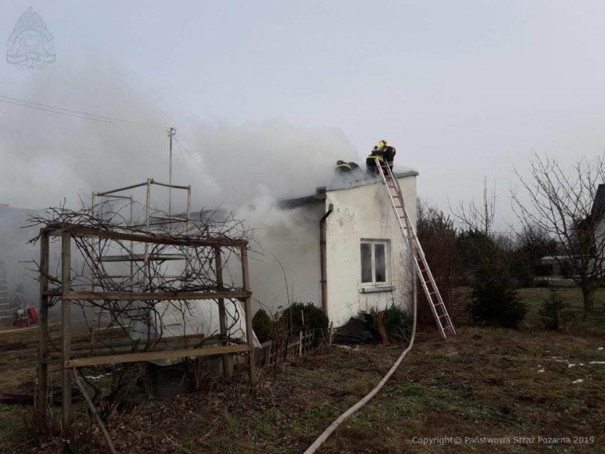 Pożar budynku letniskowego w Skierniewicach  