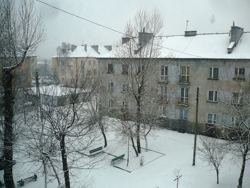 Wiosenny atak zimy w Myszkowie [FOTO INTERNAUTY]