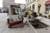 Wrocław: Klony wracają na Rynek (ZDJĘCIA)