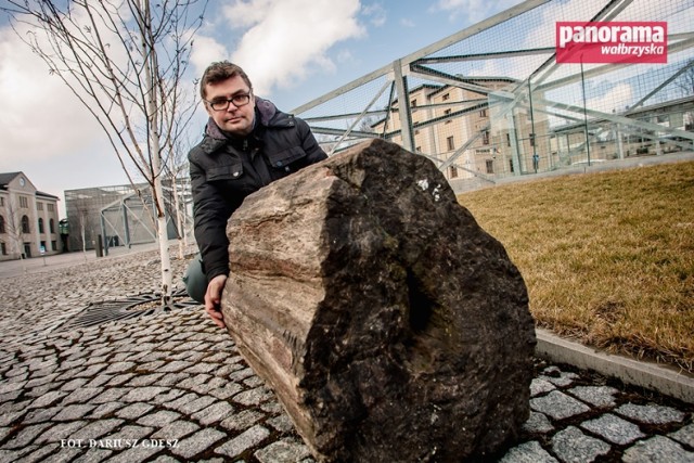 Marcin Kuleszo z fragmentem skamieniałego pnia drzewa, które wydobyto z jednej z kopalń w regionie wałbrzyskim