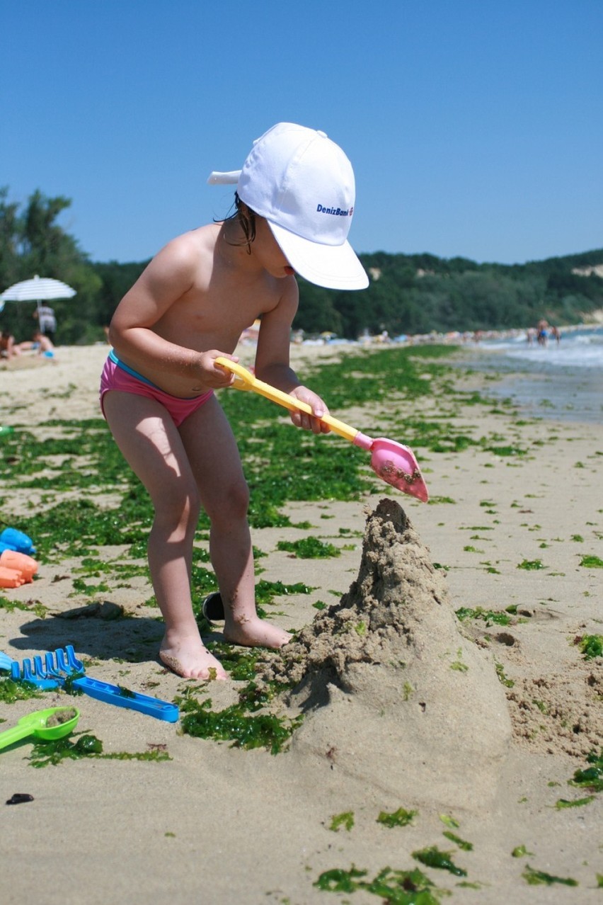 Upały na Pomorzu. Czy grożą nam sinice nad morzem? 