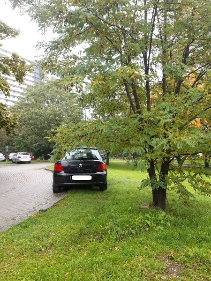 Zobacz galerię wstydu z Katowic! Oto "miszczowie" parkowania - laureaci z września 2022. Zobacz te zdjęcia!