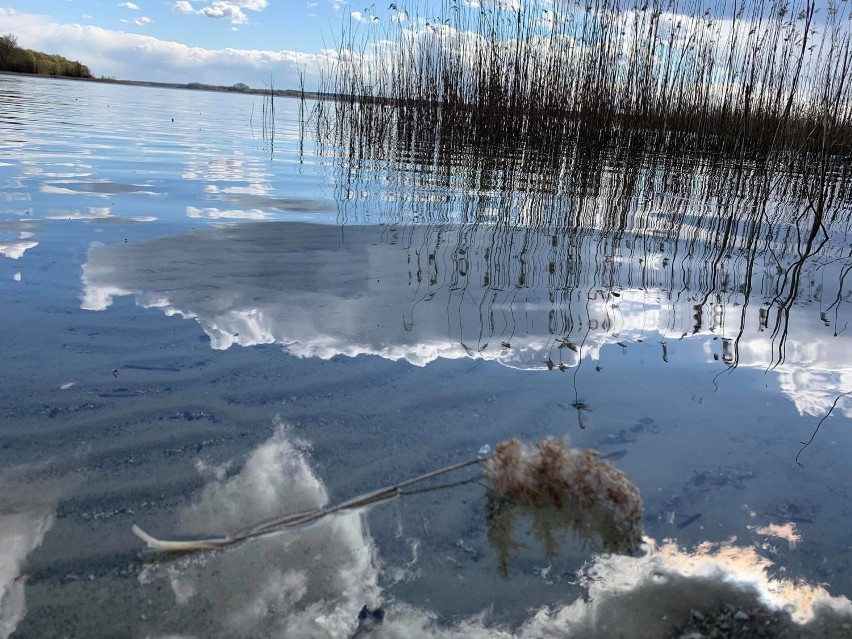 Ostrowo nad jeziorem powidzkim - między lasami sosnowymi, a plażą. Byliście tam kiedyś? [GALERIA]