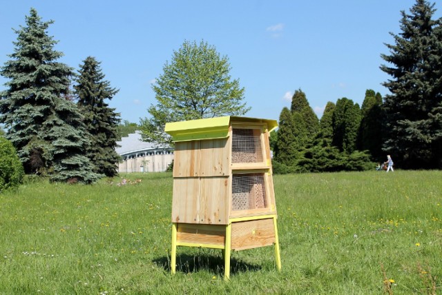 Park Śląski w Chorzowie: Greenpeace postawił hotel... dla pszczół