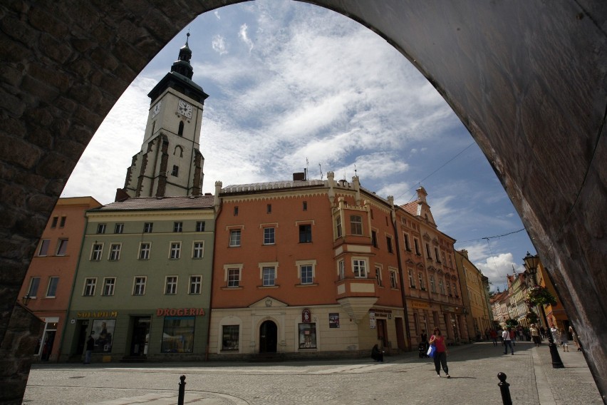 Dolny Śląsk. Brutalne skatowanie dwóch psów w okolicy Rynku