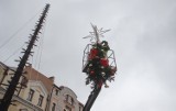 Trwa montaż choinki świątecznej na płycie rzeszowskiego Rynku [ZDJĘCIA]