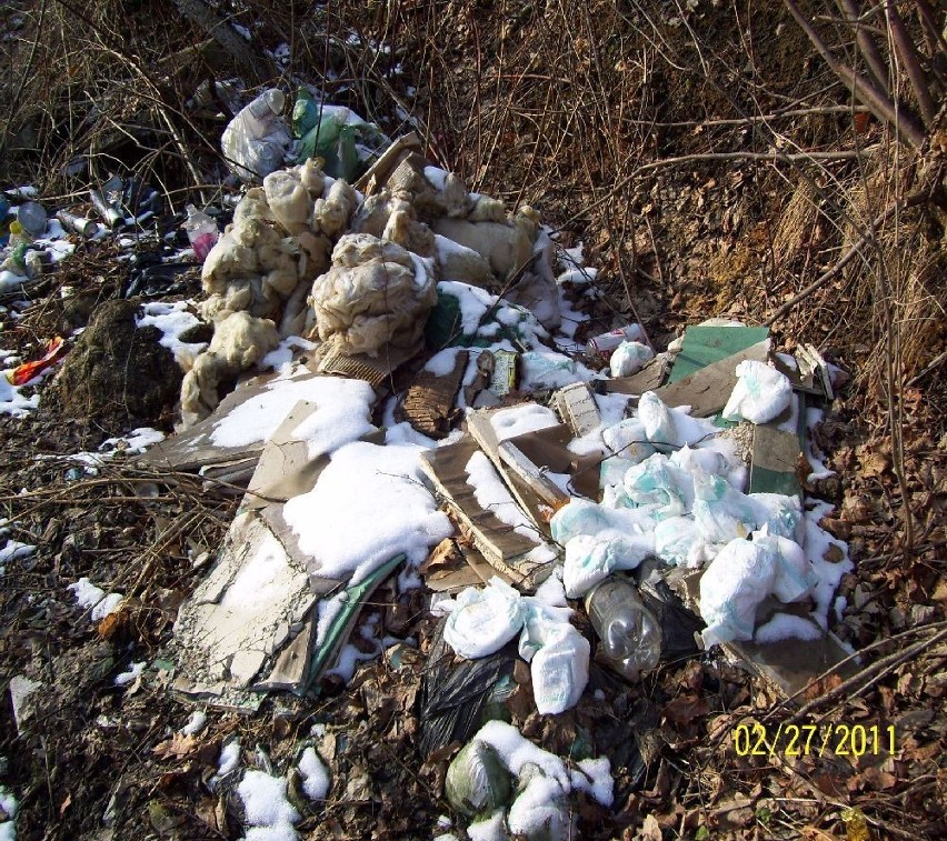 Bielsko-Biała: Patrol ekologiczny - dzikie wysypiska śmieci w pobliżu Czechowic-Dziedzic i Bestwiny