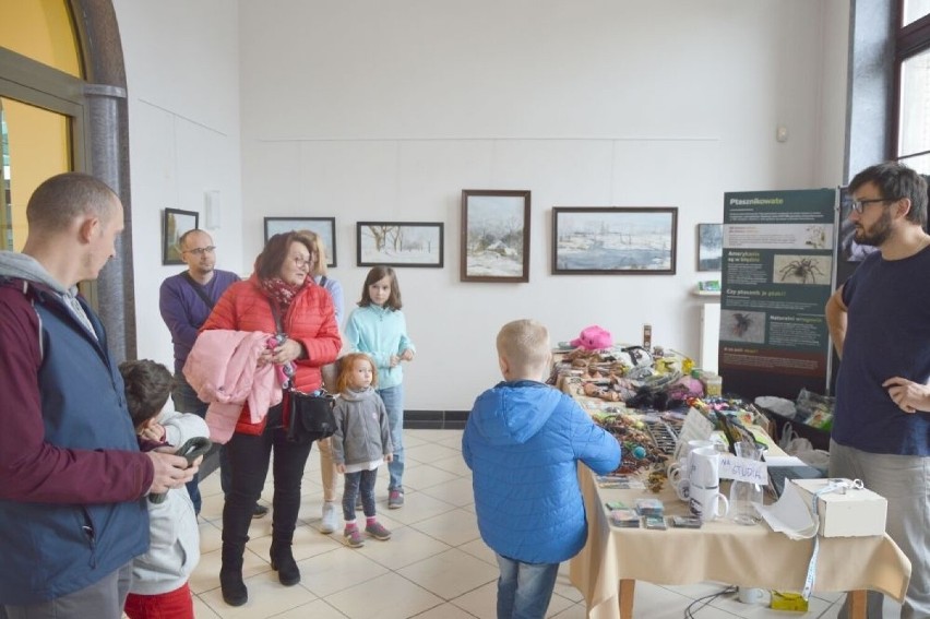 Wystawa egzotycznych pająków w Miejskim Centrum Kultury w Skarżysku-Kamiennej. Zobacz zdjęcia 