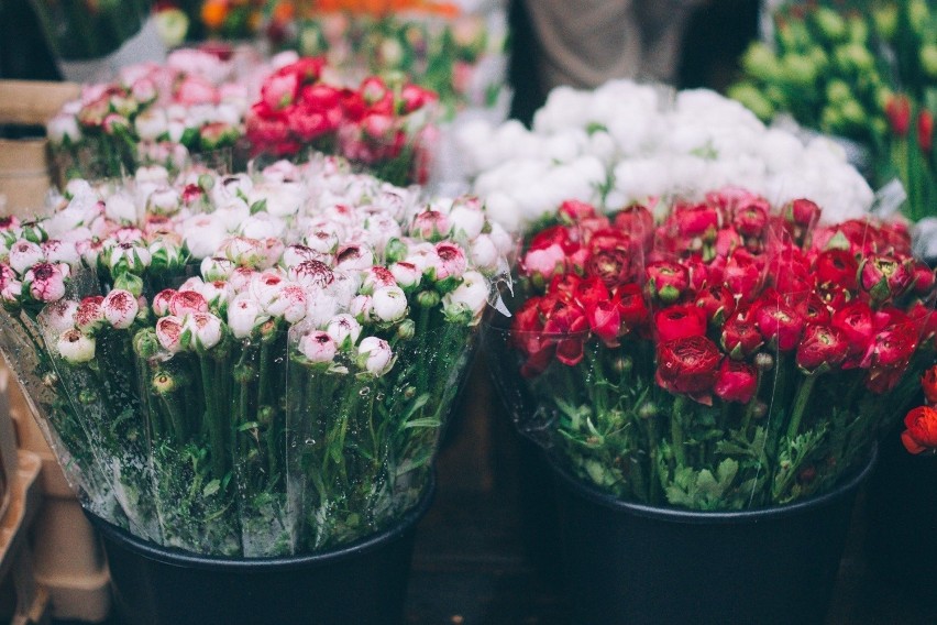 Zobacz najpopularniejsze kwiaciarnie w Lublinie. Kliknij w...