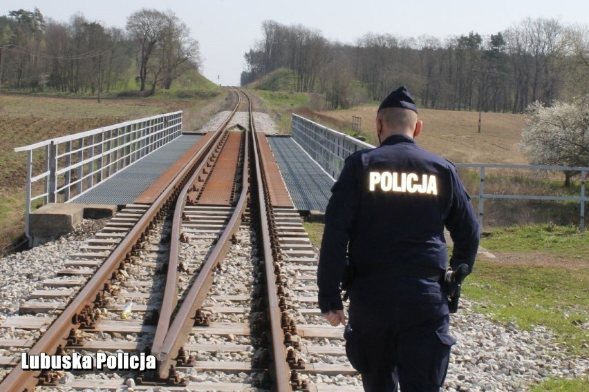 Psa na torach odnalazł 17-latek. Zaopiekował się psiakiem, a...