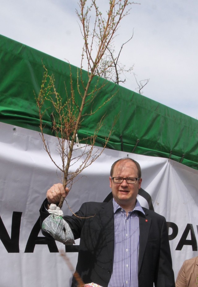 W ub. roku nawet prezydent Gdańska - Paweł Adamowicz wymienił  makulaturę na drzewko.