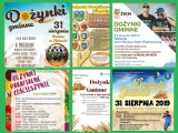 Dożynki czas zacząć! Gdzie będą święta plonów 2019? [zapowiedź]