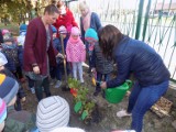 Przedszkole nr 10 w Łowiczu obchodziło Międzynarodowy Dzień Drzewa