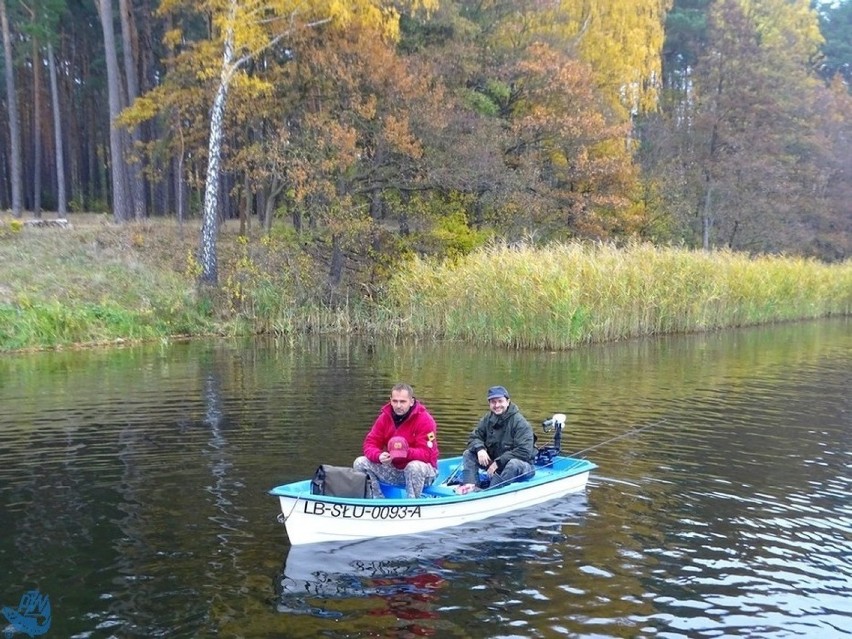 Koło PZW nr 2 "Lin" w Sulęcinie nie zwalnia tempa i pomimo...