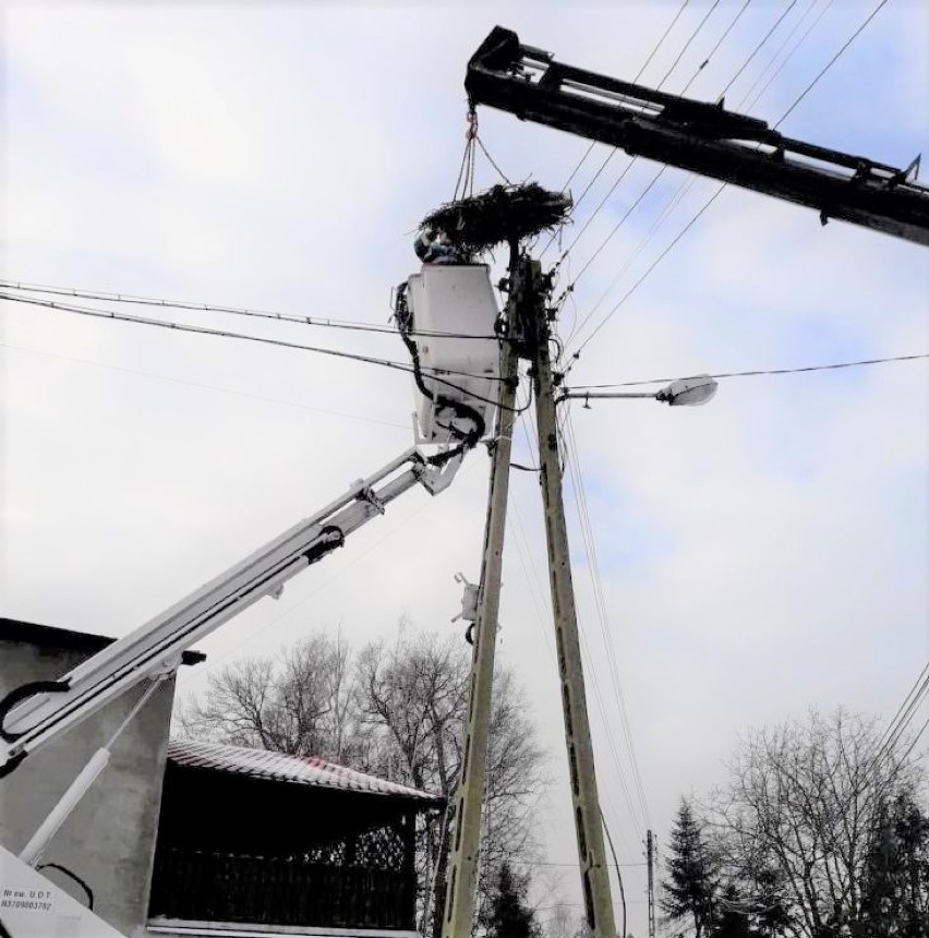 Nowe bocianie gniazdo pojawiło się na słupie energetycznym...