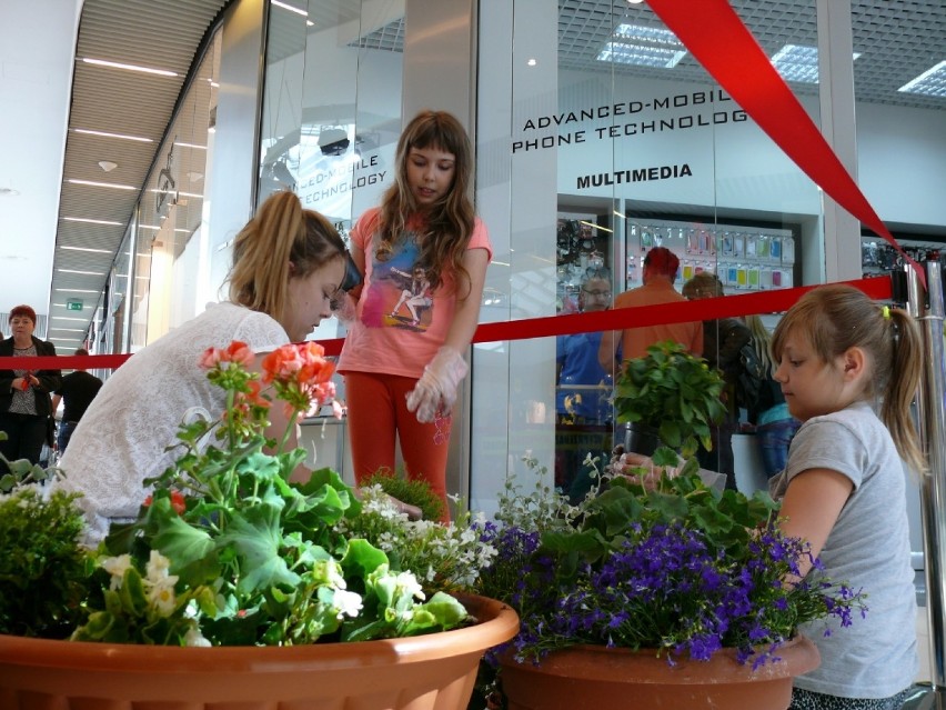 Bełchatów. Dzień Dobrych Uczynków rządził w Galerii Olimpia