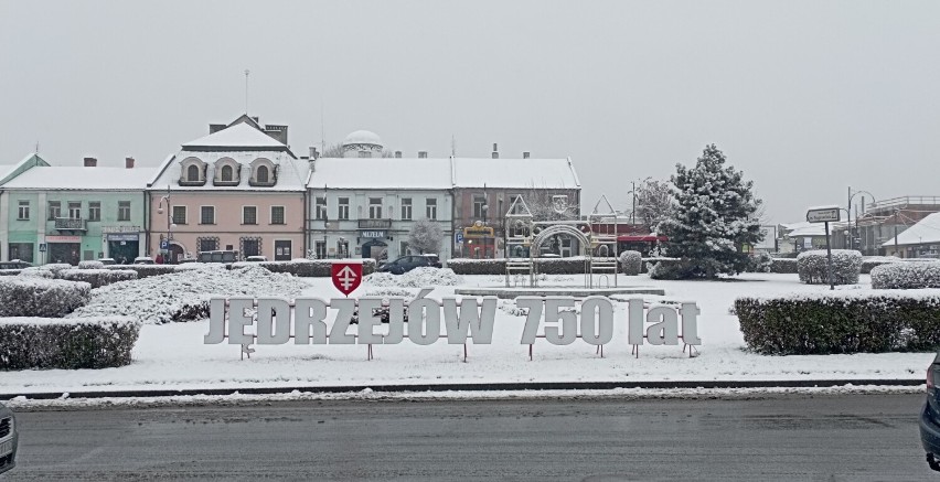 Zimowy krajobraz w Jędrzejowie. Śnieg przykrył miasto białym puchem. Zobaczcie zdjęcia