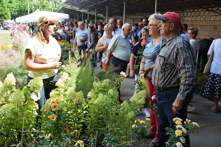 Końskowola. Święto Róż i piknik rodzinny