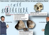 Naukowa sensacja: Homo erectus zawędrował na Śląsk