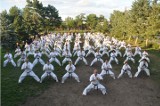 Sosnowiecki Klub Karate zaprasza na treningi. Informacje o zapisach