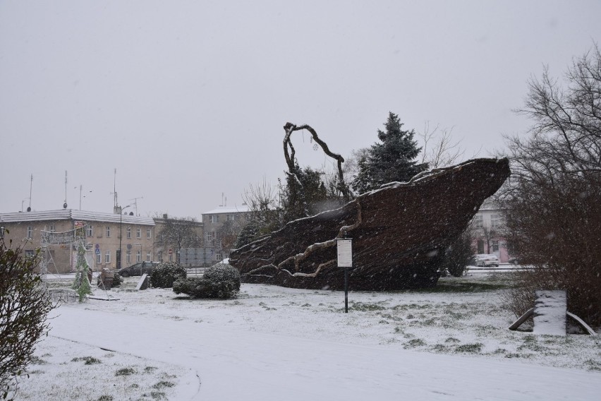 Pierwszy śnieg w Nowym Tomyślu. Zobaczcie zdjęcia! 