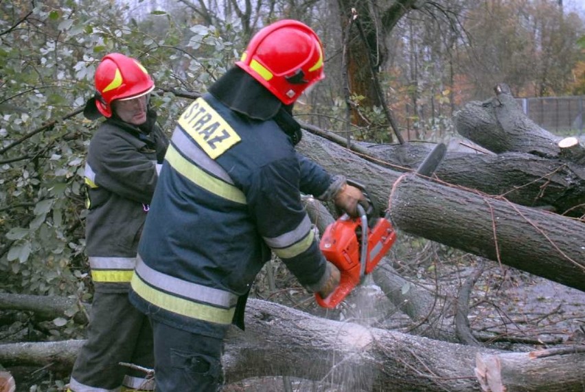 Orkan "Grzegorz" łamał drzewa i zrywał dachy w Małopolsce [ZDJĘCIA, WIDEO]