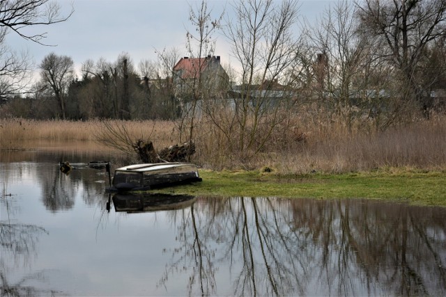 Pierwszy dzień wiosny 2023. Rzeka Obra w obiektywie aparatu fotograficznego, przy Kładce Koźlarzy w Zbąszyniu