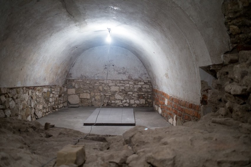 Wawel: nowe odkrycia w podziemiach katedry [ZDJĘCIA]